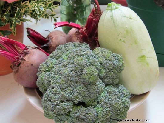 Preserving the Garden