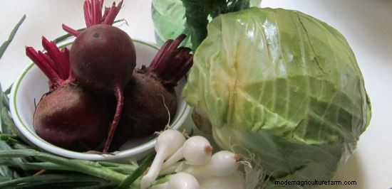 Preserving the Garden