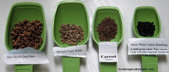 Growing Observations