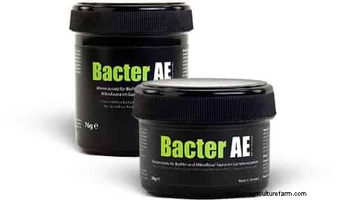 Top Food for the Shrimp – Bacter AE