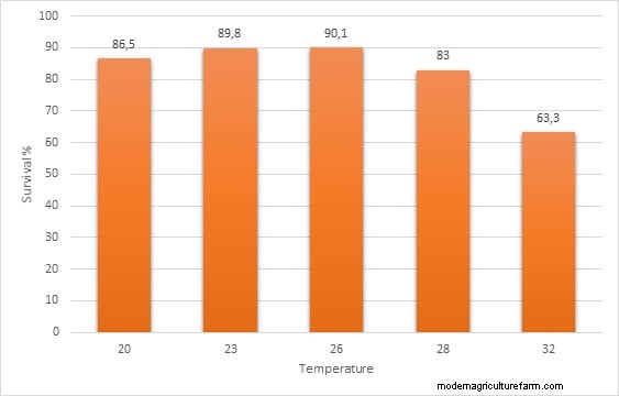 How Temperature Affects Sex Ration of Red Cherry Shrimp