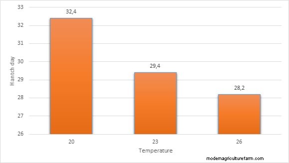 How Temperature Affects Sex Ration of Red Cherry Shrimp