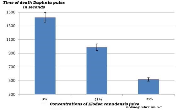Some Plants Can Kill Shrimp. Myth or Not.