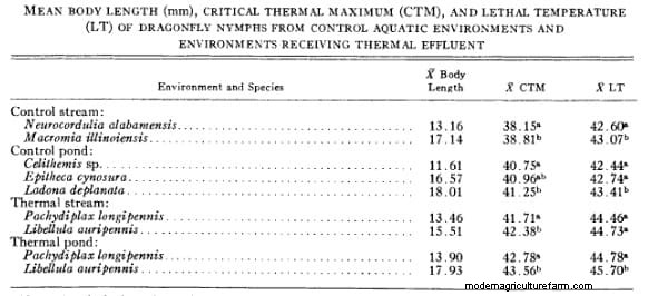 Dragonfly and Damselfly Nymphs. Monsters in Shrimp Tanks. Treatment