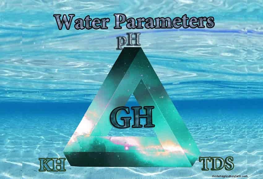 Water Parameters: Everything about GH in Shrimp Tank