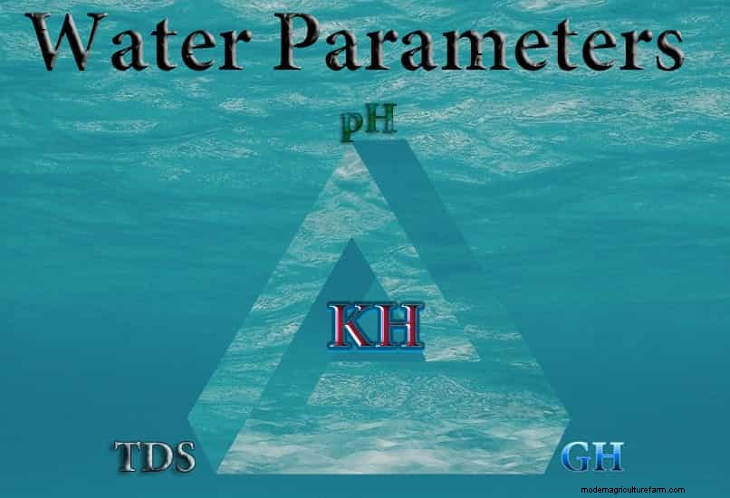 Water Parameters: Everything about KH in Shrimp Tank