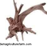 Water Parameters: Everything about KH in Shrimp Tank