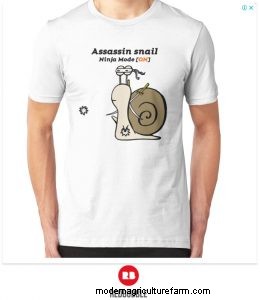 How to Remove Snails from a Shrimp Tank