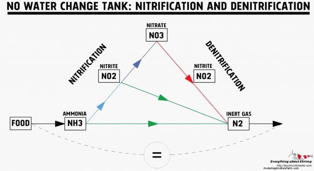 No Water Change Tank?! Top Offs vs Water Change.