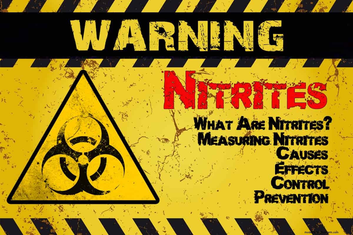 Nitrites in the Aquarium: Causes, Effects, and Control