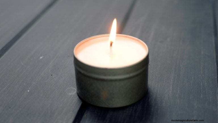 9 Natural Ways To Repel Mosquitoes & 4 Methods That Really Don’t Work