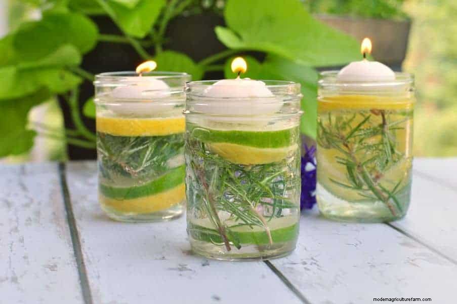 9 Natural Ways To Repel Mosquitoes & 4 Methods That Really Don’t Work
