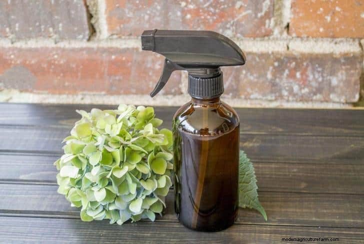 9 Natural Ways To Repel Mosquitoes & 4 Methods That Really Don’t Work