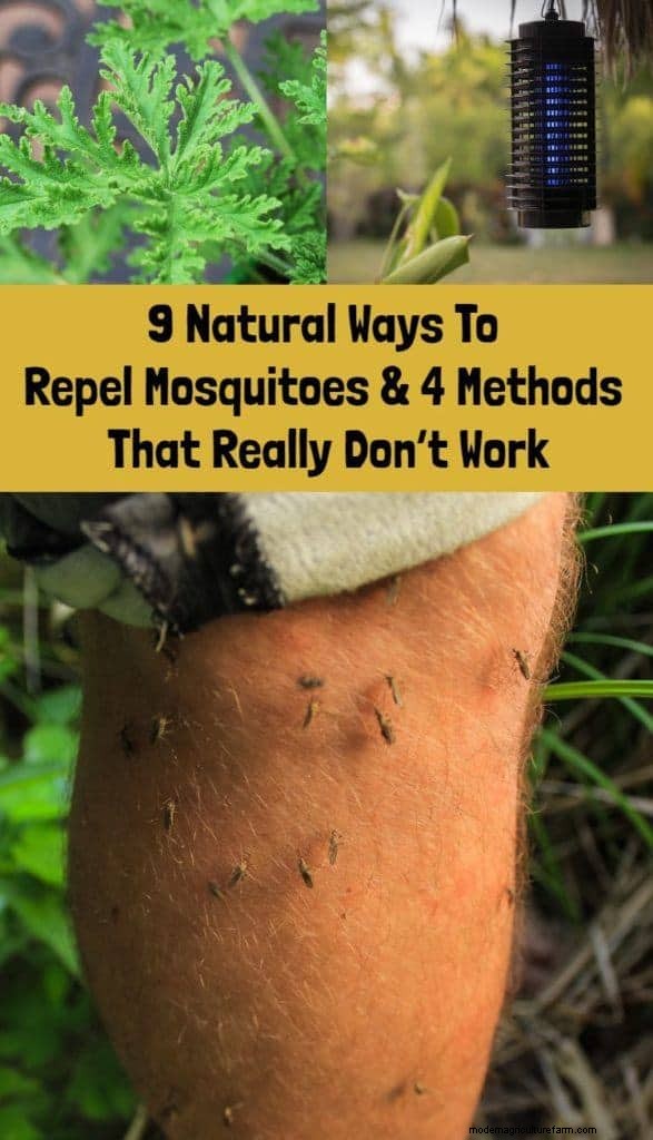 9 Natural Ways To Repel Mosquitoes & 4 Methods That Really Don’t Work