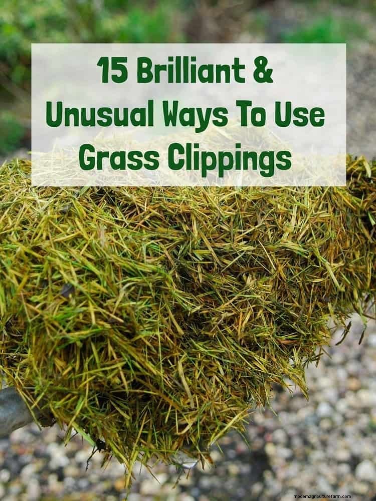 15 Brilliant and Unusual Ways To Use Grass Clippings