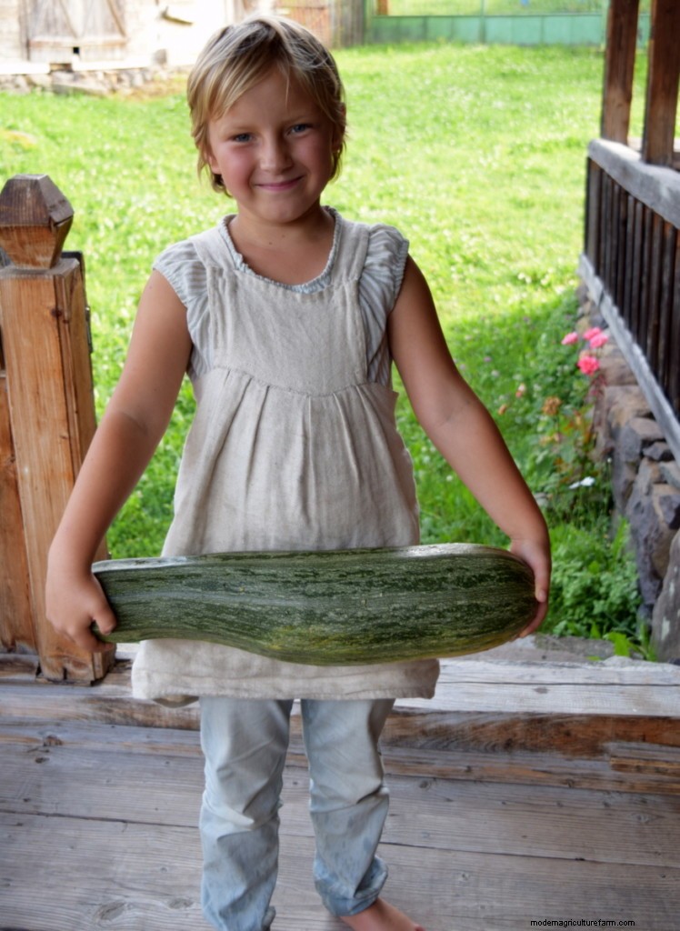 17 Easiest Fruits & Vegetables ANY Gardener Can Grow