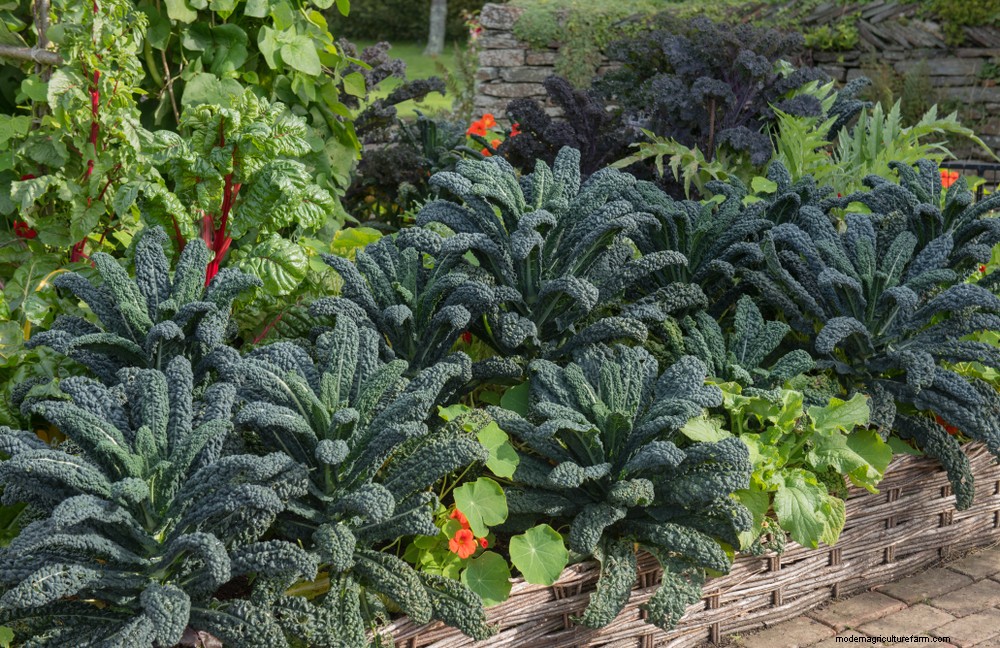 17 Easiest Fruits & Vegetables ANY Gardener Can Grow