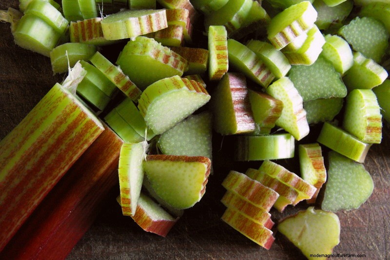 17 Easiest Fruits & Vegetables ANY Gardener Can Grow