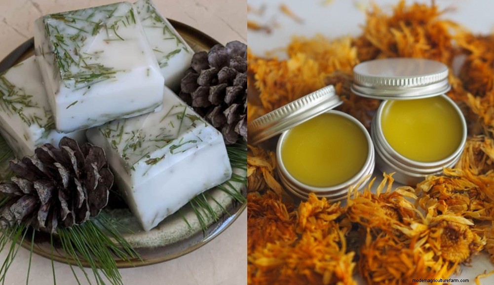 15 Delightful DIY Gifts for Homesteaders and Gardeners