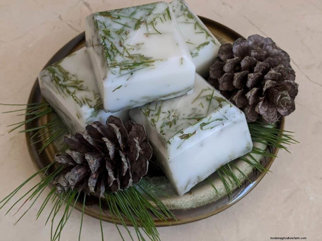 15 Delightful DIY Gifts for Homesteaders and Gardeners