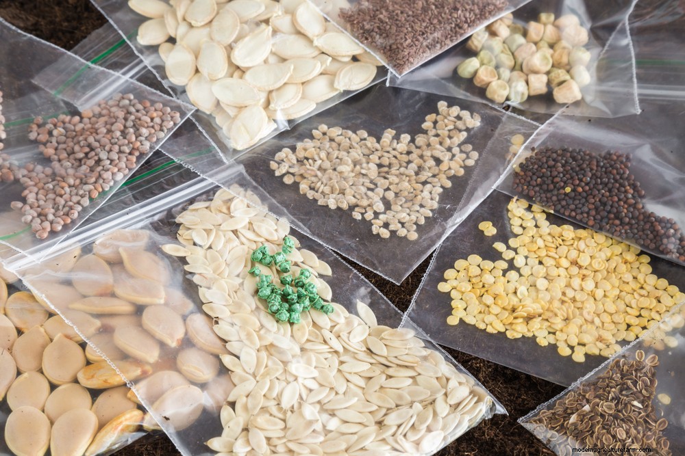 15 Delightful DIY Gifts for Homesteaders and Gardeners