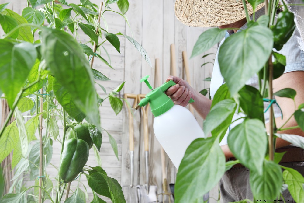 3 Organic Pesticides That Really Work (But Only As A Last Resort)