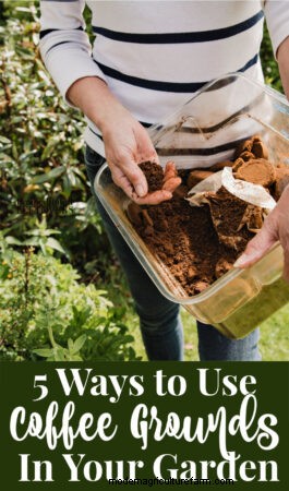 5 Ways to Use Coffee Grounds in the Garden