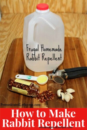 How to Make Rabbit Repellent