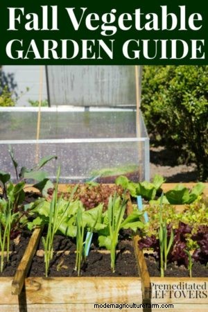 Fall Vegetable Gardening Guide