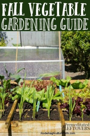 Fall Vegetable Gardening Guide