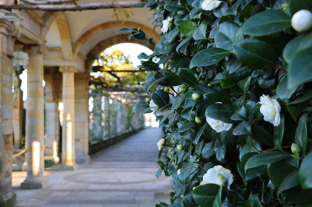 Neil Miller recommends 10 plants for May