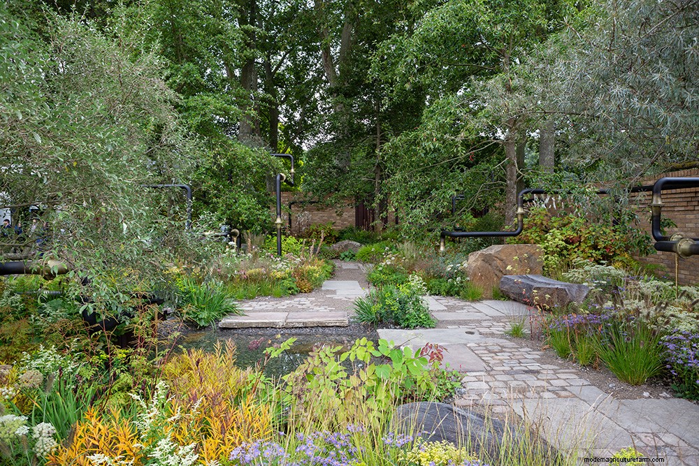 Colourful Chelsea Plant Combinations