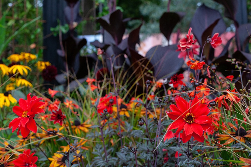 Colourful Chelsea Plant Combinations