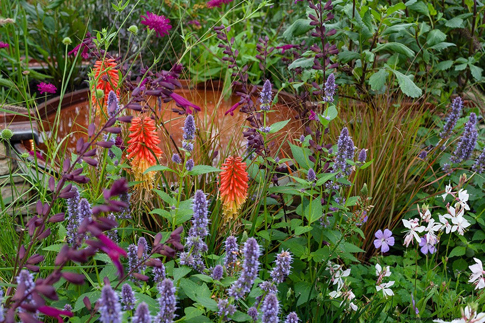 Colourful Chelsea Plant Combinations
