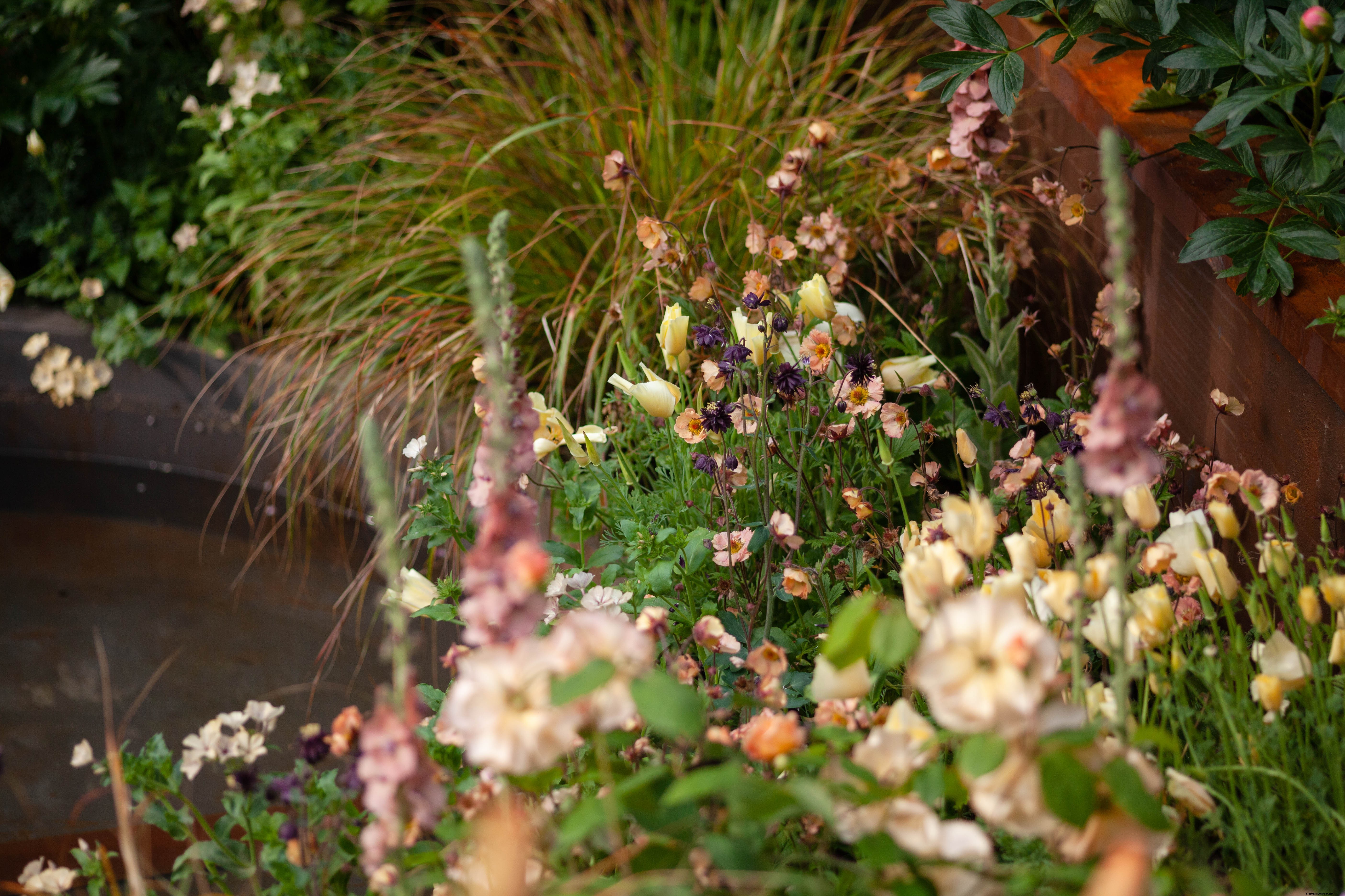 Colourful Chelsea Plant Combinations