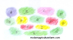 Planting a damp border