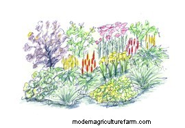 Planting a damp border