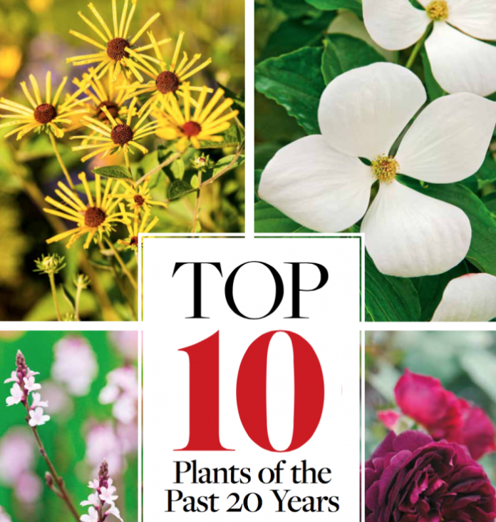 Top 10 plants of the past 20 years