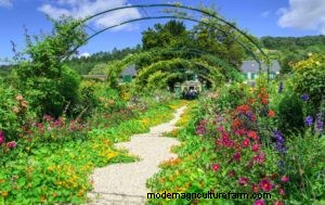 Get the Claude Monet look in your garden