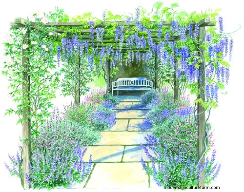 How to make a Wisteria Walk