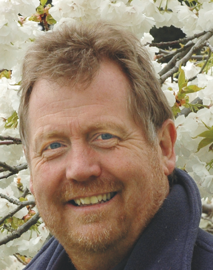 Cornus ‘Venus’ – top 10 plants of the past 20 years