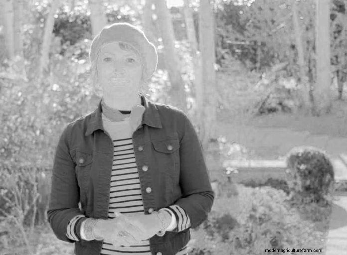 How the colour of plants can affect your mood