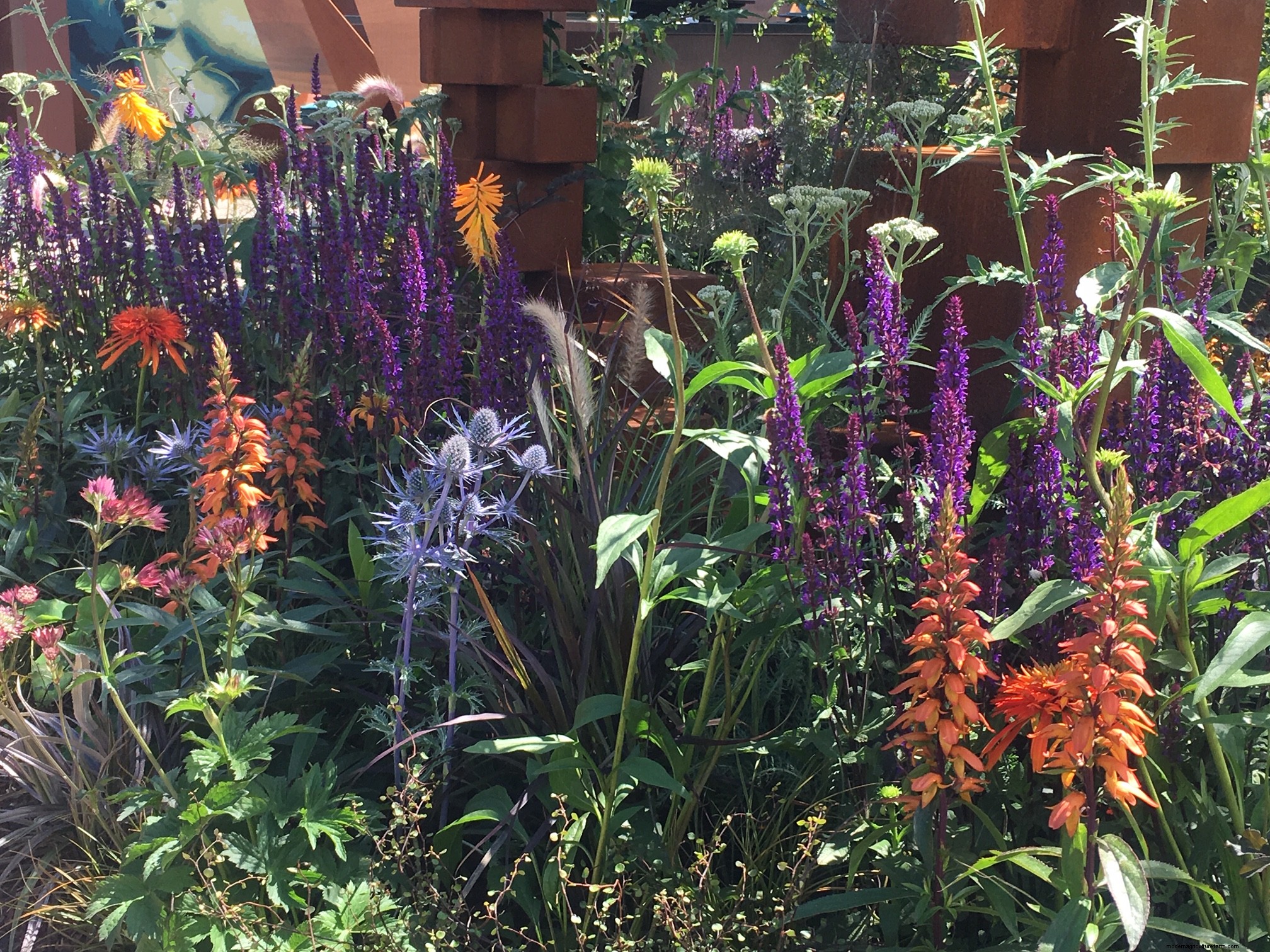 Plant combinations from Hampton Court