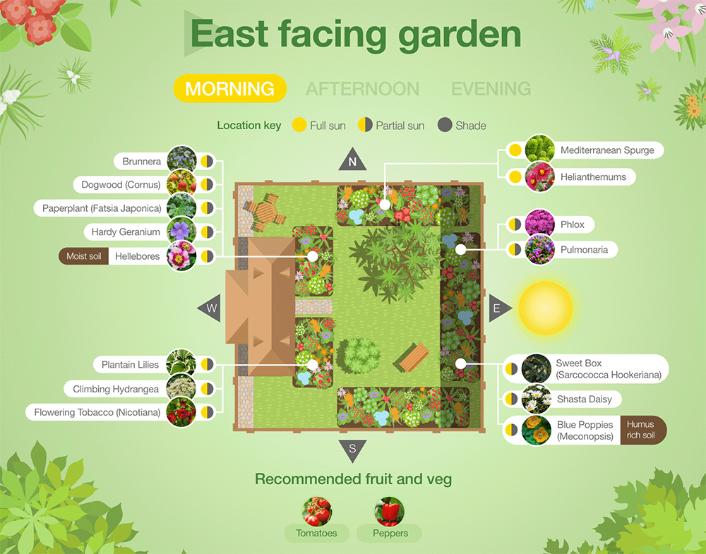 Plant suggestions for a North, South, East or West facing garden