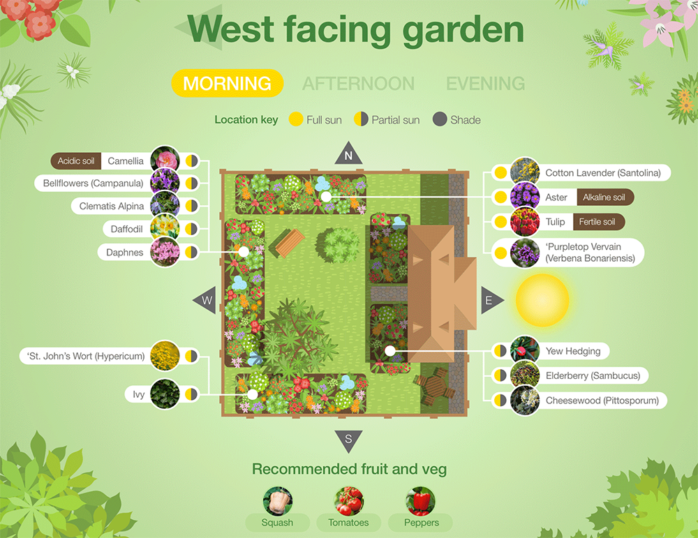 Plant suggestions for a North, South, East or West facing garden