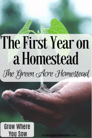 The first year on a homestead