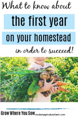 The first year on a homestead