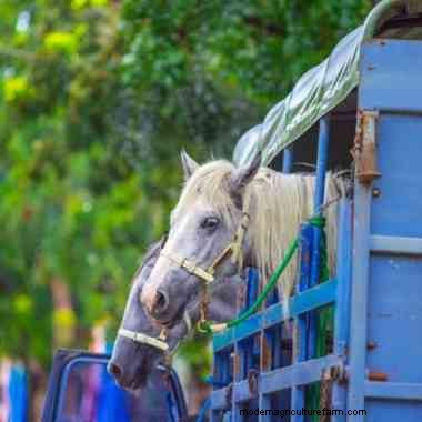 Trailer safety tips: Part Two