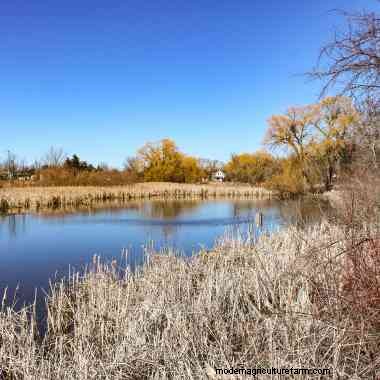 Do You Need to Apply Agricultural Limestone to your Pond?