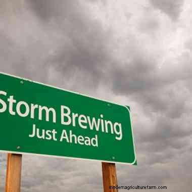 How to keep your livestock safe in severe weather conditions